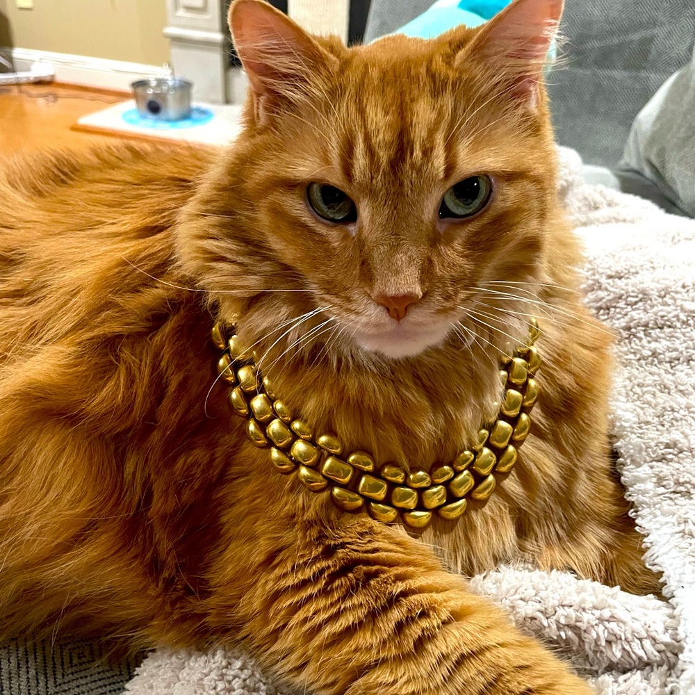 9/24 Live Show Jewelry As Shown